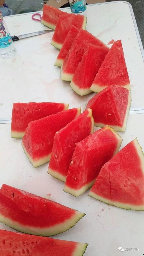 免费吃瓜每日大赛,免费吃瓜每日大赛，瓜友狂欢盛宴来袭！